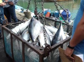 AMP y la ARAP refuerzan acciones para prevenir y eliminar la pesca ilegal