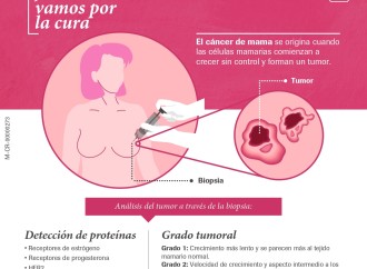 Cáncer de mama triple negativo: alta mortalidad en mujeres jóvenes