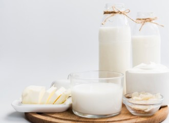 Lácteos, calcio y necesidades en adultos mayores