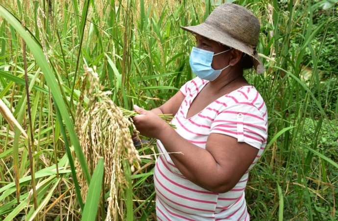 ONU MUJERES lanza la ficha-país que analiza el empoderamiento de las trabajadoras panameñas