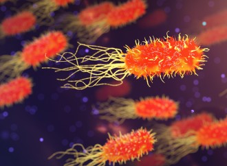 ¿Qué efectos ha tenido la pandemia por COVID-19 en la lucha contra la resistencia antimicrobiana?