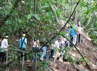 Más de 500 educadores de AMA Panamá velan por la educación y la naturaleza de Panamá