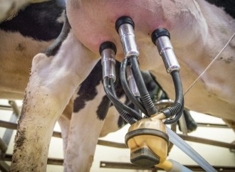 Especialista argentino capacita a productores de leche panameños en Equipos de Ordeño