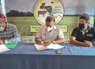 Ministro del MIDA, Augusto Valderrama y asociaciones de productores de arroz firman acuerdo