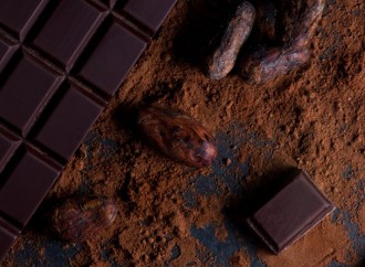 Cuáles son los beneficios del chocolate oscuro para la salud?