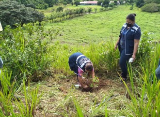 Defensoría del Pueblo promueve siembra de plantones en plantel de Veraguas
