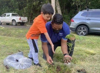 Programa Siembra tu Árbol Panamá avanza en la reforestación de las ciudades