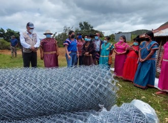 Más de 100 mujeres rurales de la comarca Ngäbe Buglé reciben insumos para la producción avícola y agrícola