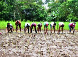 Las Escuelas Campos, un lugar donde las mujeres rurales están aprendiendo a sembrar, cosechar y algo más