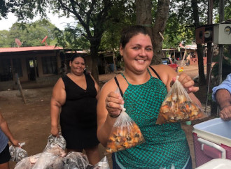 Mercado del Mar permite a mujeres que extraen moluscos reducir deuda con la Caja del Seguro Social