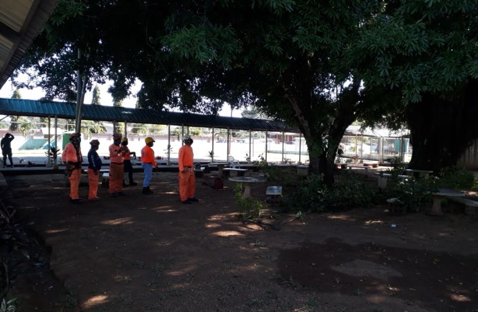 SINAPROC realiza jornada de poda y tala de árboles en centro femenino Los Algarrobos
