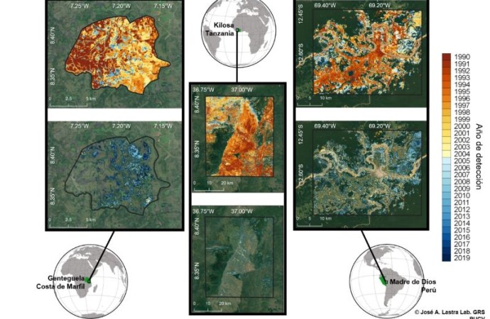 Sistema satelital pionero a nivel mundial permitirá monitorear deforestación de bosques tropicales, su gravedad y recuperación