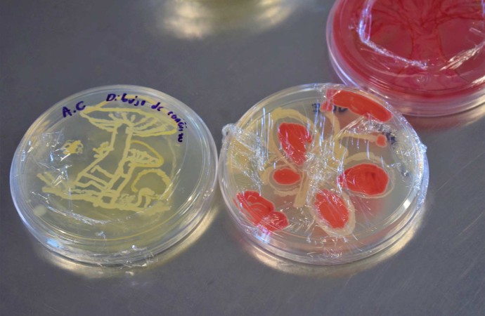 UAG realiza Primer Concurso de Arte Microbiológico
