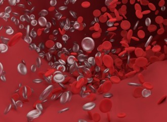 Derribando siete mitos acerca de la hemofilia