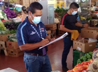 Acodeco compara precios de las ferias del IMA con supermercados