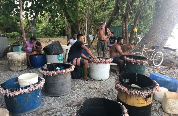 Costa Rica: Pescadores artesanales solicitan al nuevo gobierno un espacio en la toma de decisiones