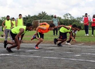 Meduca y la Universidad de Panamá retoman actividades deportivas