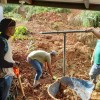 Miviot inspecciona deslizamiento de tierra en Arraiján