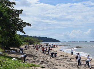 Acción y concientización ambiental: empresas organizaron una limpieza de playas en Veracruz