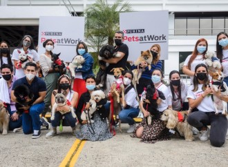 Programa Pets at Work de Nestlé Purina, permite llevar mascotas a la oficina