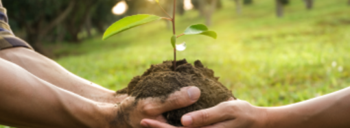 Ashoka y HSBC lanza convocatoria para impulsar proyectos ambientales