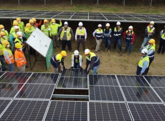 Más de 66,500 paneles solares instaló EGPP en el proyecto Madre Vieja