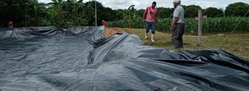 Preparan segunda etapa de estanque de tilapias en Llano Marín