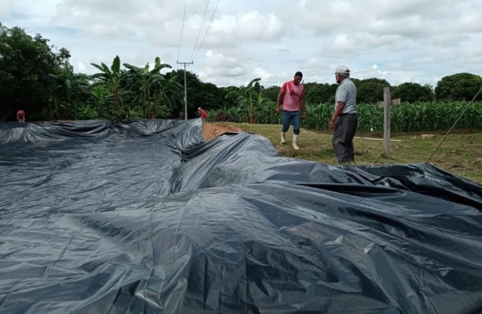 Preparan segunda etapa de estanque de tilapias en Llano Marín