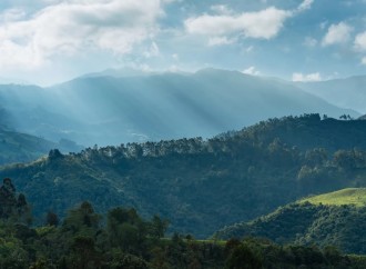 P&G y PriceSmart promueven la reforestación en Panamá con apoyo de ANCON