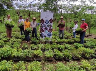 Cobre Panamá integra comunidades a través de su programa de reforestación