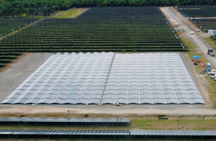 Enel Panamá desarrolla proyecto innovador en el parque solar Madre Vieja