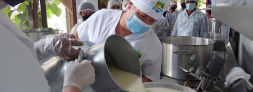 Incentivan a pequeños productores a elaborar el cotizado queso de búfala