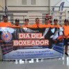 Voluntarios del Sinaproc participan en tercer campeonato de Boxeo Interfuerzas