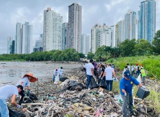 Más de 6.5 toneladas de residuos recolectados por voluntarios del Sistema Coca-Cola