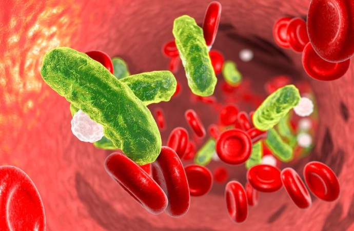 La OMS advierte que la resistencia a los antimicrobianos es hoy una amenaza para la salud mundial