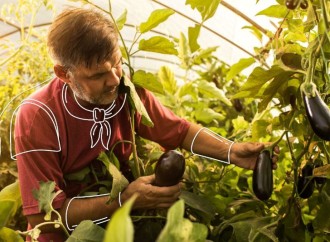 Syngenta lanza #PROagricultor, una plataforma para la capacitación en agricultura regenerativa