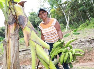 Cristobalina Barría, una mujer rural que produce sus propios alimentos a través de una Escuela Campo del programa Redes de Familia