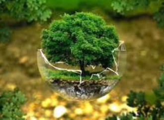 Premio Zayed a la Sostenibilidad lanza nueva convocatoria para acelerar las soluciones climáticas y proteger el planeta para las futuras generaciones