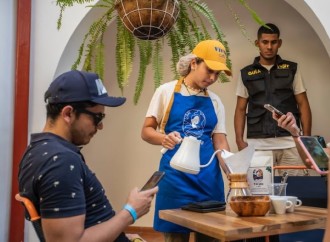 Descubre los secretos de una taza de café perfecta con el Show de Filtrado de Café Vívolo en Visit Santa Marta