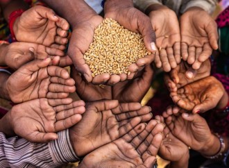Cómo la tecnología puede mitigar la crisis alimentaria mundial