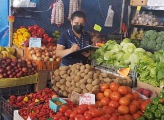 Acodeco informa sobre precios promedios de productos agrícolas en el Merca Panamá