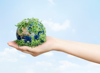 3 tips para lograr la sostenibilidad en tu empresa, según Daniel Suero Alonso