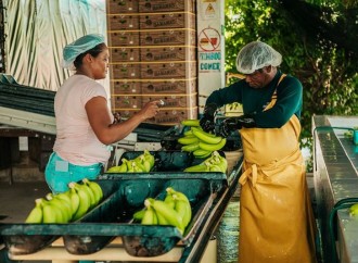 Agricultura Familiar: la importancia para el desarrollo de América Latina y el Caribe