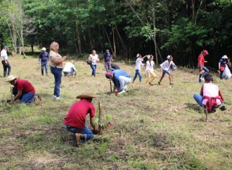 MOP y Consorcio La Cabima llevan a cabo exitosa jornada de reforestación en el Proyecto de Intercambiador