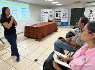 Fenómeno del niño: Productores y autoridades se preparan ante posible disminución de lluvias en Panamá