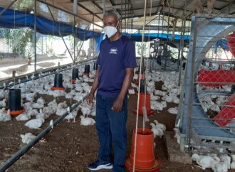 Proyecto avícola número 30 fortalece programas de autogestión en Las Garzas