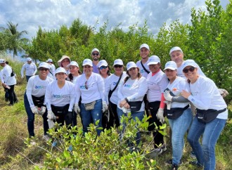 Voluntariado de la Fundación AES Panamá reforesta Isla Galeta en Colón