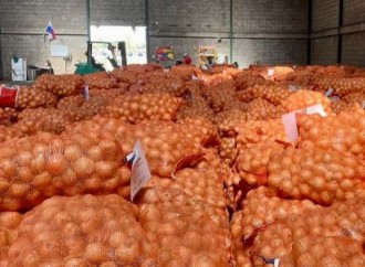 IMA: Pago de cinco asociaciones de productores de cebolla está refrendado