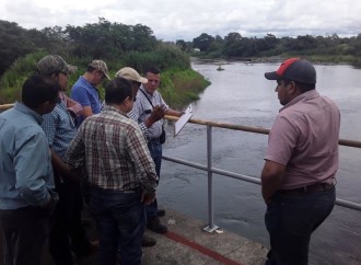 MIDA realiza mejoras a los sistemas de riego en Chiriquí