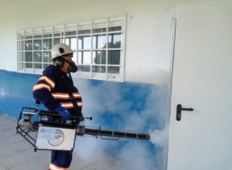 MINSA no da tregua: Control de Vectores y Promoción de la Salud para combatir el Dengue en Panamá